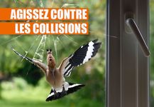 boutique-lpo-nichoirs (1).jpg