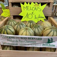Melon