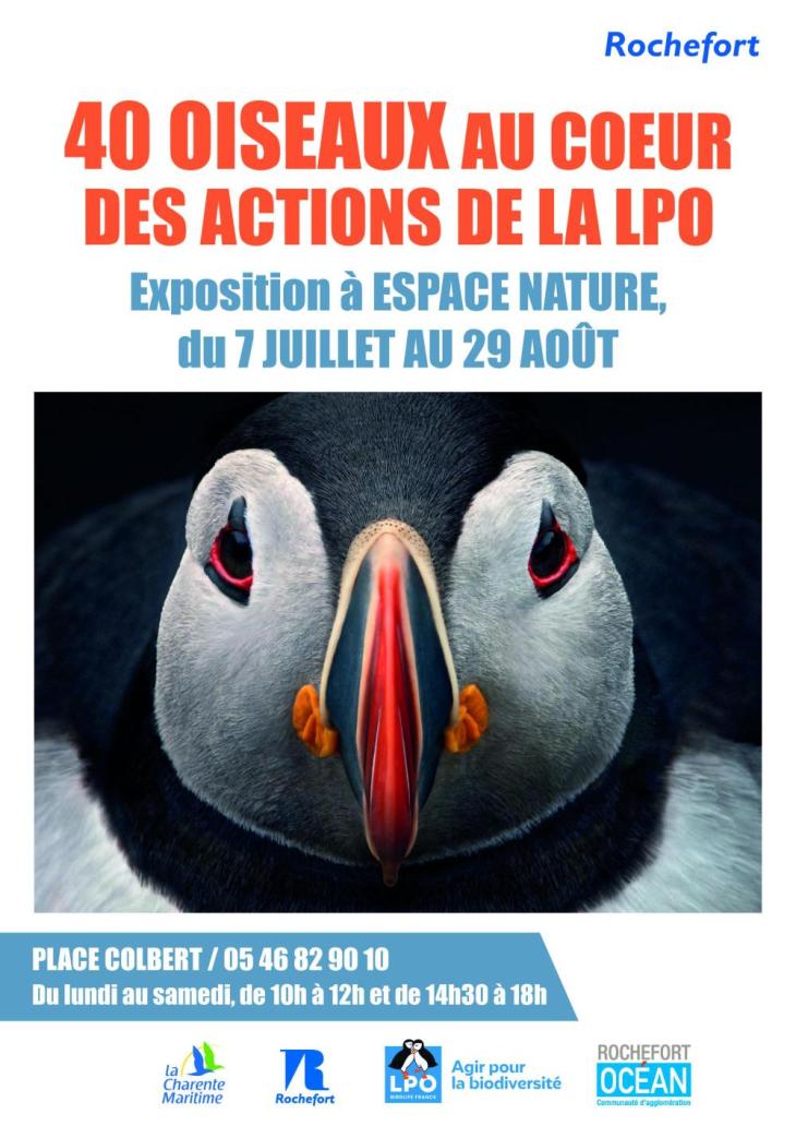 affiche