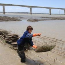 Pont de l'Ile d'Oléron