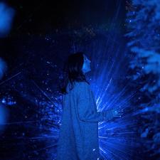 Oceana Lumina MomentFactory