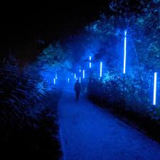 Oceana Lumina MomentFactory