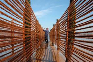 Captage de naissain de moules