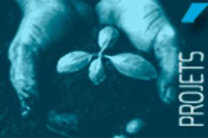 mains qui tiennent une plante