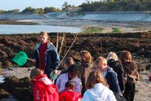 animation scolaire sur une plage