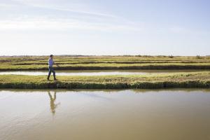Photo des marais à la Ferme aquacole de l'Ile Madame 