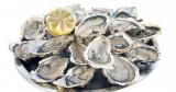 plateau huitres